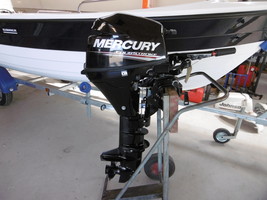 Mercury F9,9MLH